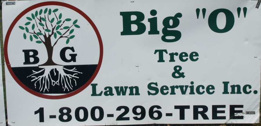 Big O Tree & Lawn Service Inc